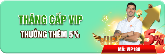 Thăng cấp vip thưởng thêm 5%